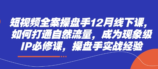 短视频全案操盘手12月线下课,如何打通自然流量,成为现象级IP必修课,操盘手实战经验-墨痕微课