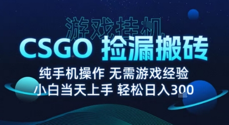 8月最新游戏搬砖,CSGO纯挂G,不需要玩游戏,实现真挂G,月入1W+【揭秘】-墨痕微课