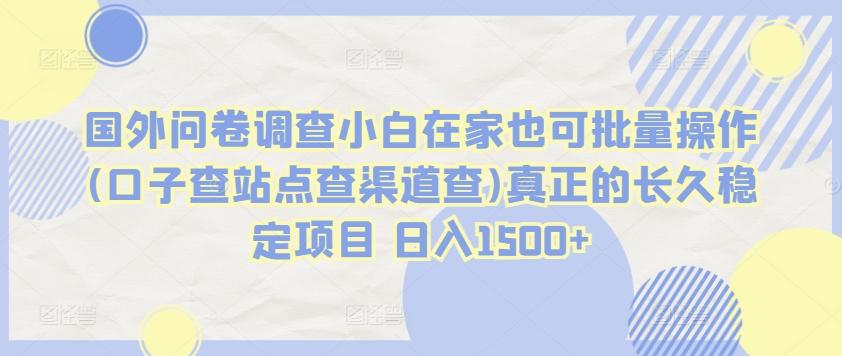 国外问卷调查小白在家也可批量操作(口子查站点查渠道查)真正的长久稳定项目 日入1500+【揭秘】-墨痕微课