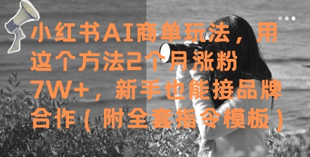 小红书AI商单玩法，用这个方法2个月涨粉7W+，新手也能接品牌合作(附全套指令模板)-墨痕微课