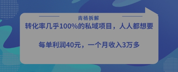 转化率最高的私域项目,每单利润40-50米,月入过1w-墨痕微课