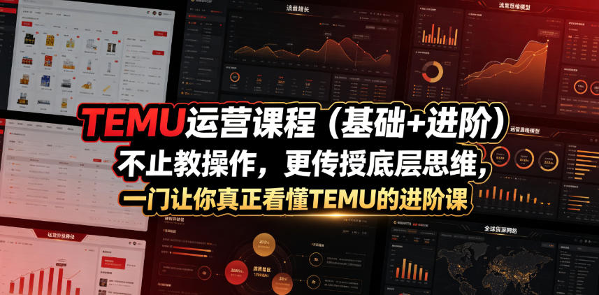 TEMU运营课程(基础+进阶),不止教操作,更传授底层思维,一门让你真正看懂TEMU的进阶课