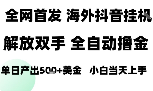 海外抖音无人直播,单日产出1.5k+,长期稳定,新手可玩,无脑操作【揭秘】-墨痕微课