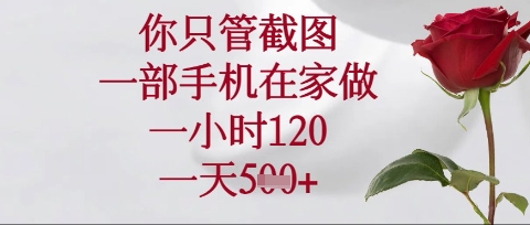 你只管截图,一部手机在家操作,一小时120.一天5张【揭秘】-墨痕微课