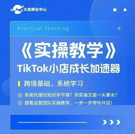 大卖家孵化中心TikTok实操课,TikTok小店成长加速器,跨境基础系统学习,一步一步带你开店-墨痕微课