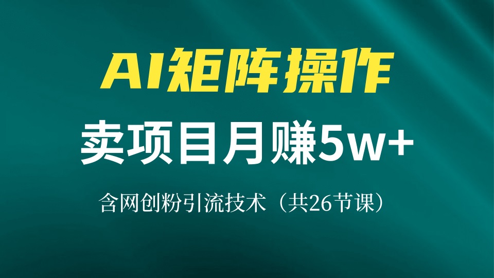 网创IP打造课，借助AI卖项目月赚5万+，含引流技术(共26节课-墨痕微课