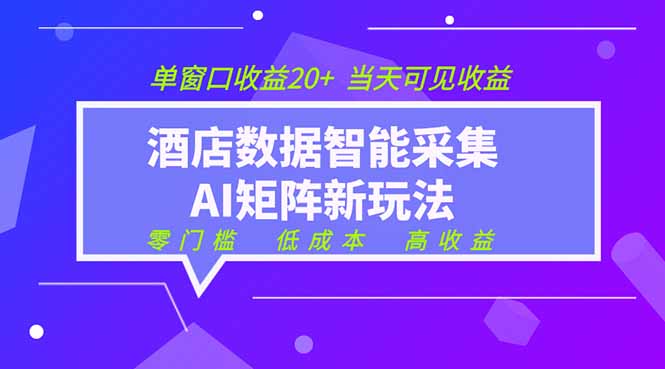 2026酒店数据采集ai智能矩阵新风口  低成本   高收益   当天见收益   单窗口20+-墨痕微课