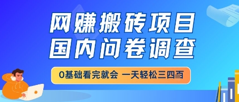 网创搬砖项目,国内问卷调查,小白轻松上手,一天三四张的也不难,干就完了【揭秘】-墨痕微课