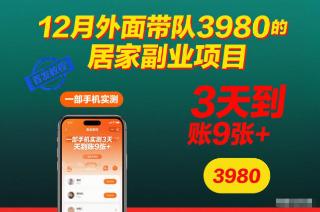 12月外面带队3980的居家副业项目,一部手机实测3天到账9张+,首发教程【揭秘】
