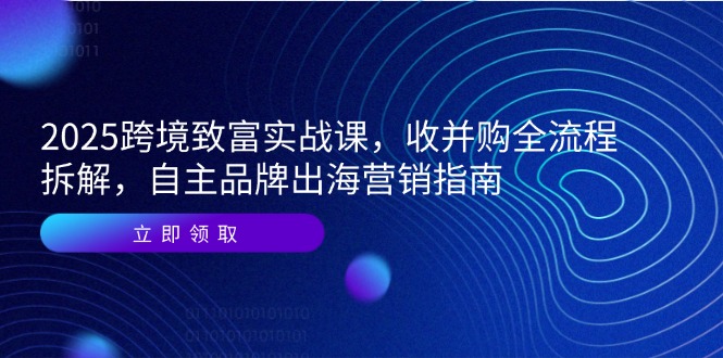 2025跨境致富实战课,收并购全流程拆解,自主品牌出海营销指南-墨痕微课