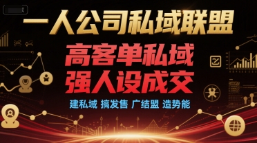 一人公司私域联盟,高客单私域,强人设成交,建私域 搞发售 广结盟 造势能-墨痕微课