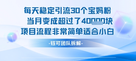 每天稳定引流30个人 当月变成超过了4个W项目流程非常简单适合小白-墨痕微课