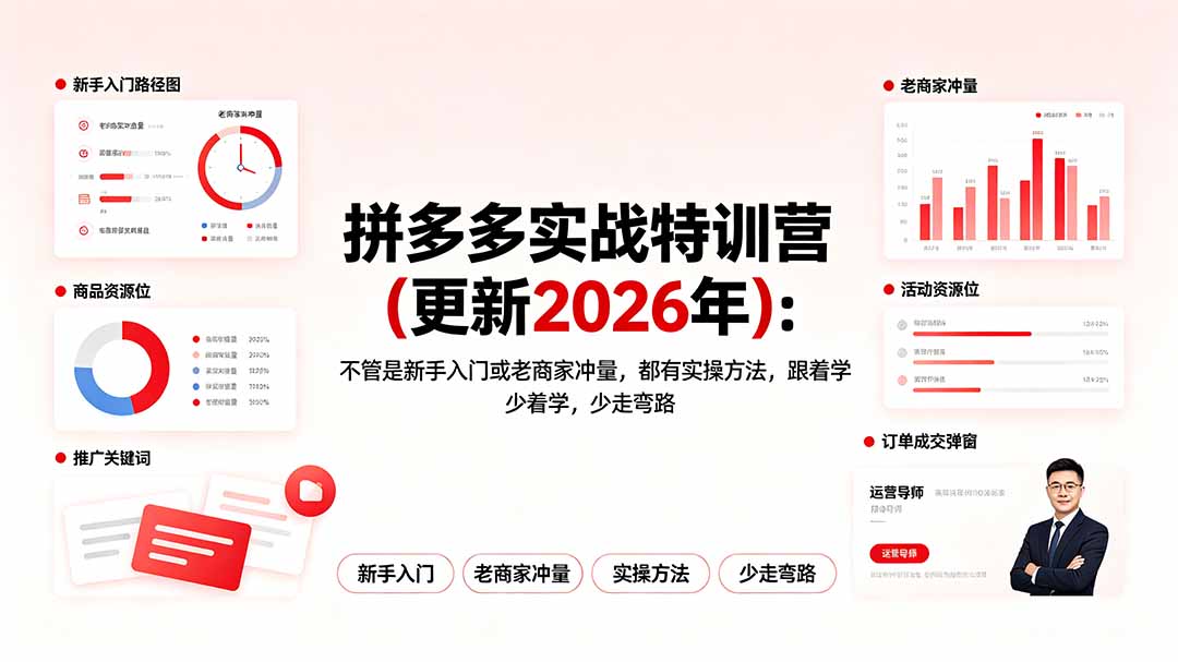 拼多多实战特训营(更新2026年-墨痕微课