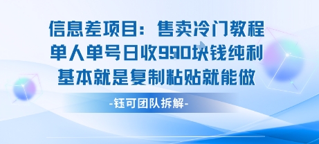 信息差项目：售卖冷门教程单人单号日收9张纯利基本就是复制粘贴就能做-墨痕微课