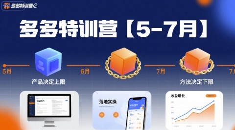 多多特训营,产品决定上限,方法决定下限,各种玩法技巧落地实操(更新)-墨痕微课