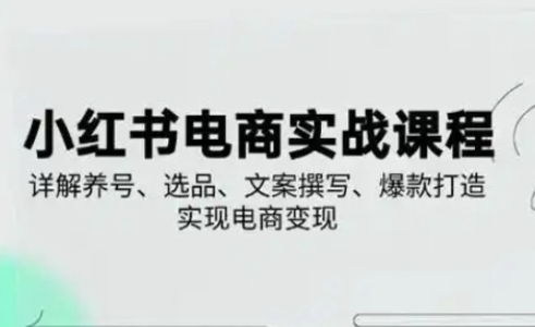 小红书从0-1实操课(2023-2025)，详解养号、选品、文案撰写、爆款打造实现电商变现-墨痕微课
