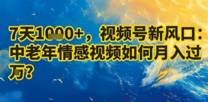 7天收益1k+,视频号新风口:中老年情感视频如何月入过W?-墨痕微课