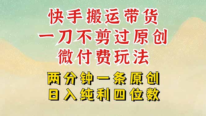 快手黑科技搬运带货,一刀不剪过原创,微付费投流玩法,轻松日入四位数...-墨痕微课