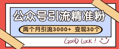 公众号精准粉引流玩法,2个月3000+精准粉,变现30个W【揭秘】-墨痕微课