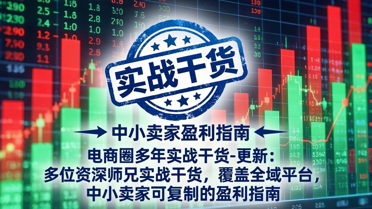 电商圈多年实战干货-更新2026:多位资深师兄实战干货/覆盖全域平台,中小卖家可复制的盈利指南-墨痕微课