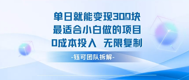 单日就能变现3张最适合小白做的项目0成本投入 无限复制-墨痕微课