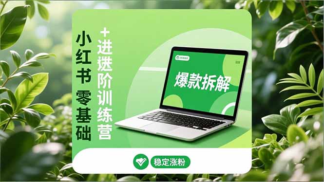 小红书零基础+高阶训练营:安全养号、爆款拆解、长效运营,实现稳定涨粉与变现-墨痕微课