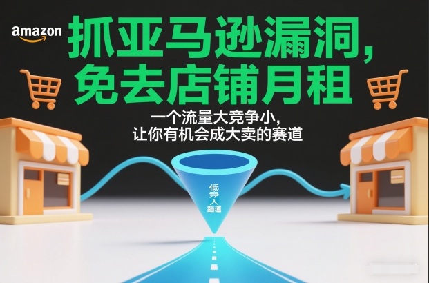 抓亚马逊漏洞，免去店铺月租，一个流量大竞争小，让你有机会成大卖的赛道-墨痕微课