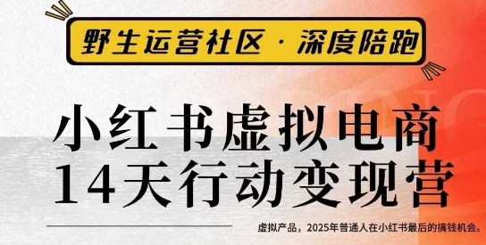 小红书虚拟电商14天变现训练营3.0,虚拟产品,2025年普通人在小红书最后的搞钱机会-墨痕微课