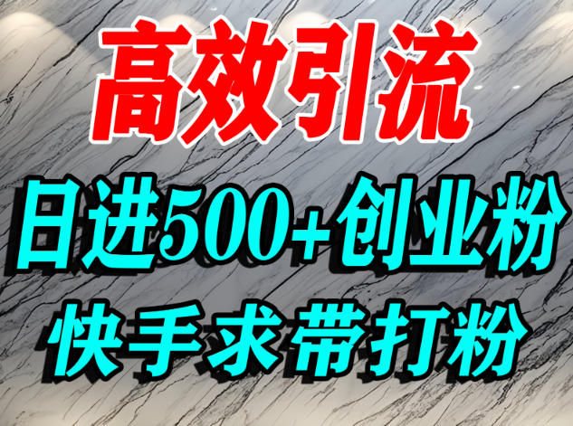 怎么打创业粉？快手求带视角精准引流创业粉，宝妈、学生群体日进500+精准流量-墨痕微课