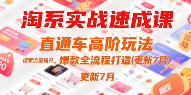 淘系实战速成课,直通车高阶玩法,搜索流量提升,爆款全流程打造(更新7月-墨痕微课