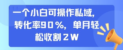 一个小白可操作私域,转化率90%,单月轻松收割2W-墨痕微课