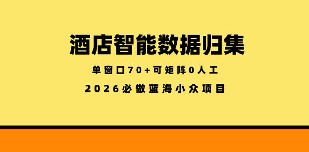 酒店智能数据归集,小众蓝海已经稳定半年之久,单窗口70+零成本矩阵开干【揭秘】-墨痕微课
