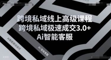 跨境私域线上高级课程,跨境私域极速成交3.0+Ai智能客服-墨痕微课