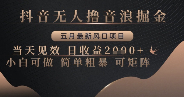 抖音无人撸音浪掘金，五月最新风口项目，当天见效，日收益多张，小白可做简单粗暴可矩阵【揭秘】-墨痕微课