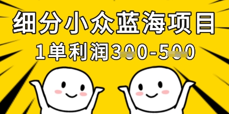 细分小众蓝海项目,一单利润3张,每月收入稳定过1w+-墨痕微课