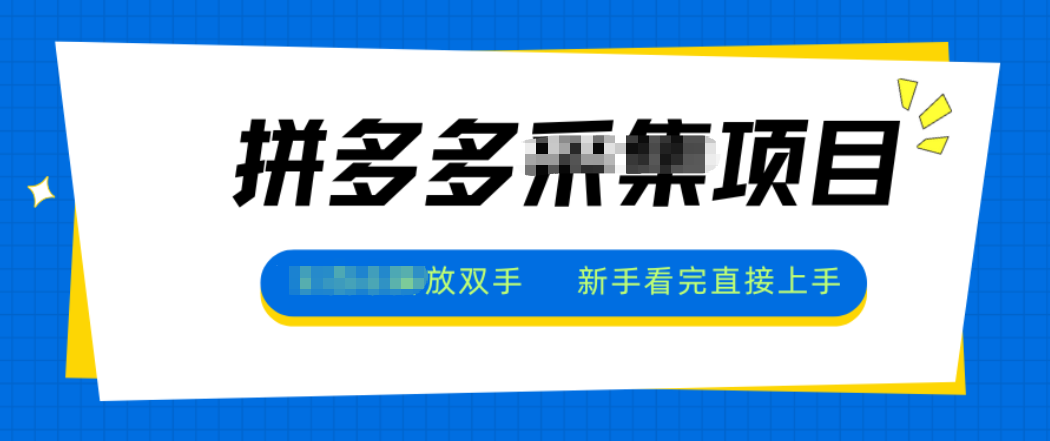 拼多多电商采集,一小时50+,操作简单,零投资-墨痕微课