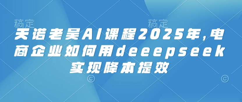 天诺老吴AI课程2025年,电商企业如何用deeepseek实现降本提效-墨痕微课