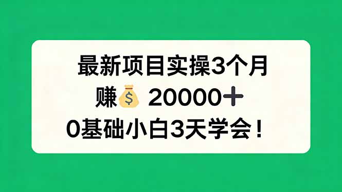最新项目实操3个月，赚钱20000+，0基础小白3天学会！-墨痕微课