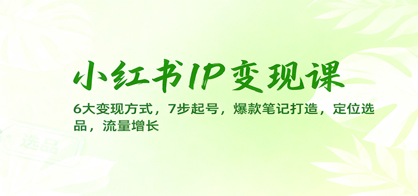 小红书IP变现课：6大变现方式，7步起号，爆款笔记打造，定位选品，流量增长-墨痕微课