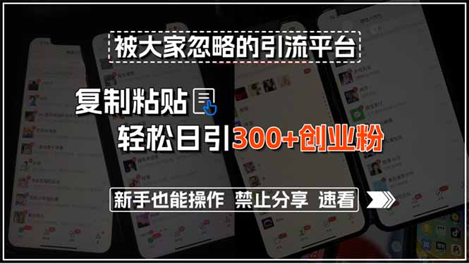 被大家忽略的引流平台,复制粘贴轻松日引300+创业粉,新手也能操作,禁...-墨痕微课