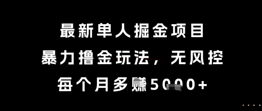 最新单人掘金项目，暴力撸金玩法，无风控，每个月多挣5k+【揭秘】-墨痕微课