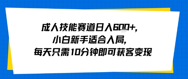 成人技能赛道日入多张,小白新手适合入局,每天只需10分钟即可获客变现-墨痕微课