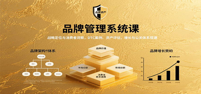 品牌管理系统课：战略定位与消费者洞察，DTC案例、资产评估，增长与公关体系搭建-墨痕微课
