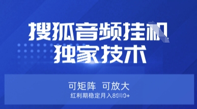 【搜狐音频挂G】独家技术,可矩阵可放大,红利期稳定月入8k【揭秘】-墨痕微课