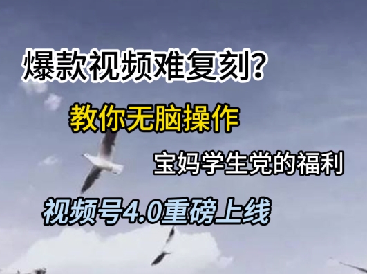 视频号4.0重磅上线，爆款视频难复刻？教你无脑操作宝妈学生党的福利【揭秘】-墨痕微课