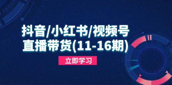 抖音/小红书/视频号/直播带货(11-16期-墨痕微课