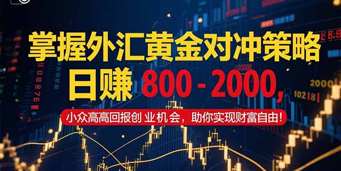 掌握外汇黄金对冲策略,日赚 800 - 2000,小众高回报创业机会,助你实...-墨痕微课
