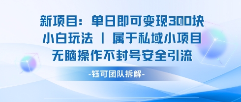 新项目单日即可变现3张的小白玩法无脑操作不封号安全引流-墨痕微课