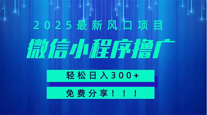 微信小程序撸广，最新风口项目，日入300+ 免费分享 可批量操作 小白可...-墨痕微课
