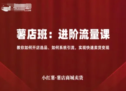 小红薯薯店商城卖货,进阶流量课,教你如何开店选品、如何系统引流,实现快速卖货变现-墨痕微课